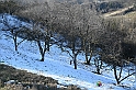 VBS_0821 - Corneliano d'Alba